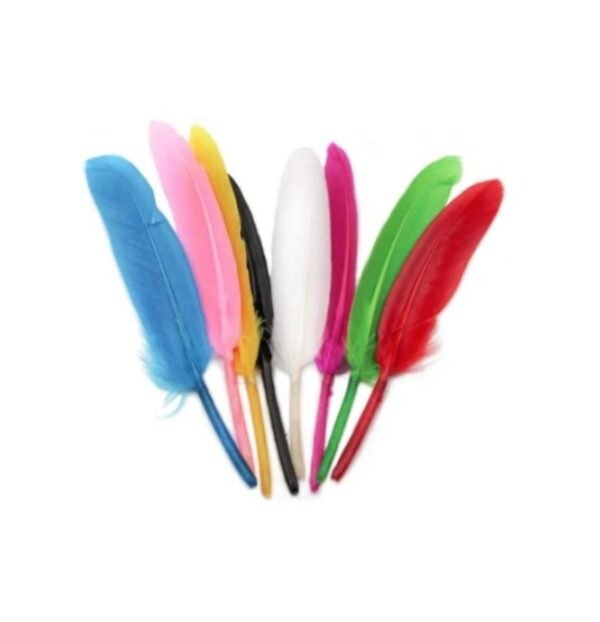 ريش ملون وسط دنيا