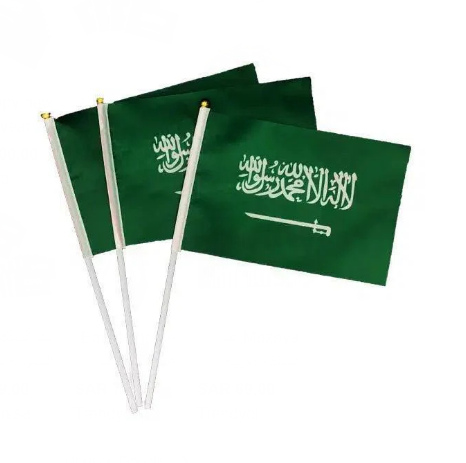 The kingdom's flag on a small pole علم المملكة بعصا صغير