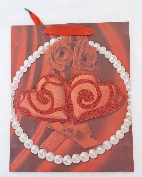 شنطة هدايا وسط Medium Gift Bag 815