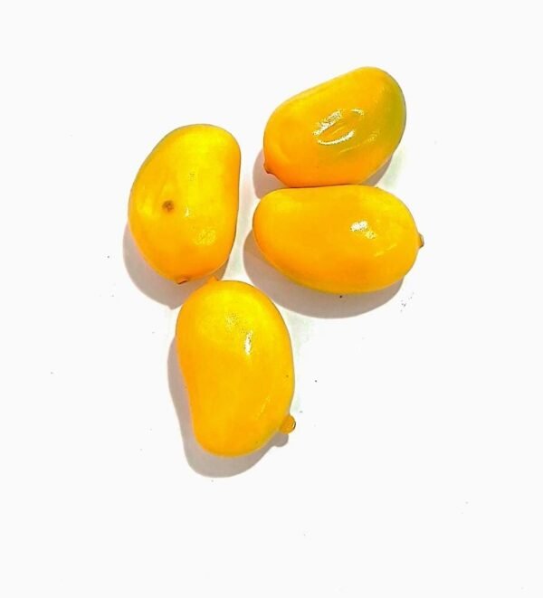 مجسمات مانجو صغير وسائل تعليمية