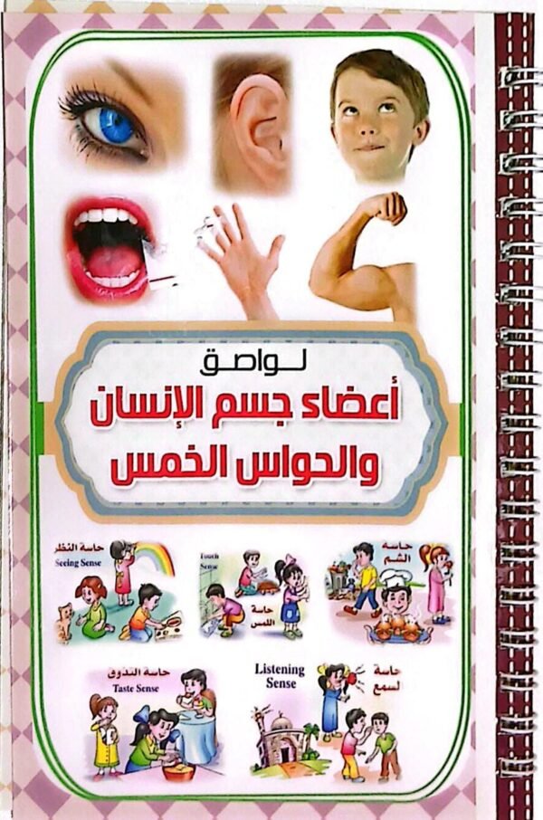 دفتر ستكر اعضاء جسم الانسان #30393