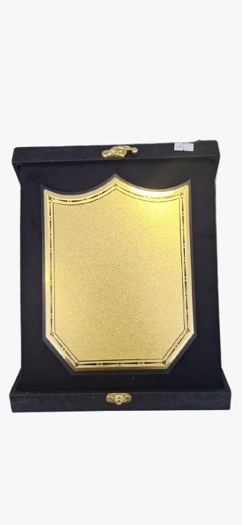 درع جلد مدرس صغير Little teacher's leather shield