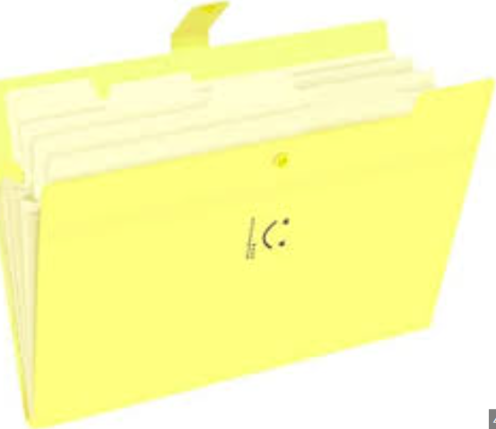 ملف شنطة روكو اصفر