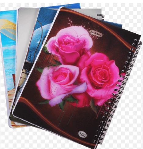 دفتر 100 عربي سلك روكو