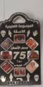 الموسوعة التعليمية اللاصقة الفواكه 75 صورة