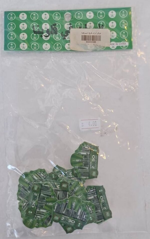 بروش رؤية 2030 Vision 2030 brooch