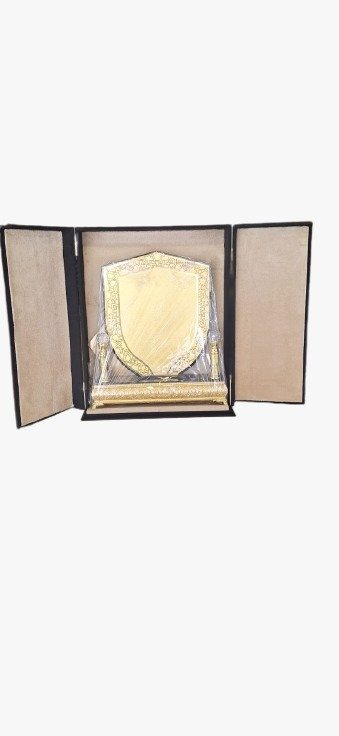 درع وسط باب مع قفل A shield in the middle of a door with a lock