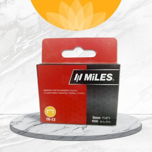 دبابيس 13/6 #525876